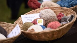 Economic Revival through Craft 