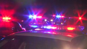 12 officers, including three Hindu policemen, honored as martyrs