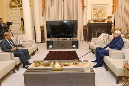 Zardari, Shehbaz urge world to prioritize peace over conflict