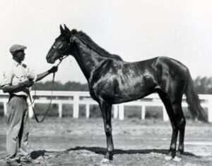 Blue Larkspur horse racing legacy