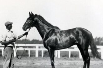 Blue Larkspur horse racing legacy