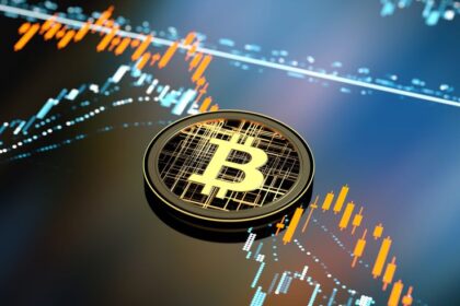 Bitcoin in a Broken Economy