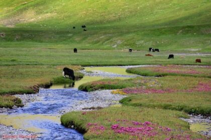 Pakistan Summer Escape Guide