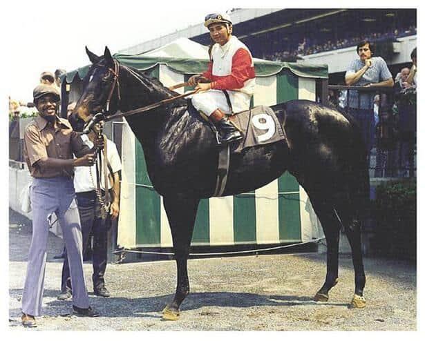 Fifty Years Later: The Echo of a Broken Stride Still Haunts the Field