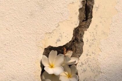 Opening the Closed Heart