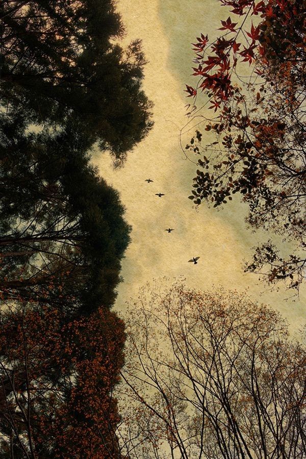 Lines Written in Early Spring