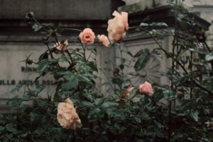 Funeral Blues