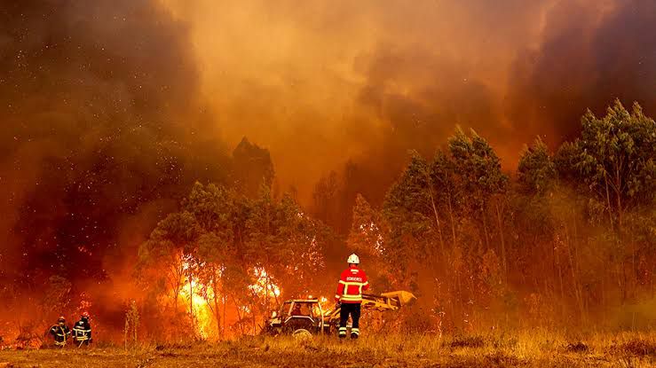 Wildfires in Portugal and Spain are reported to be the “worst” in years.