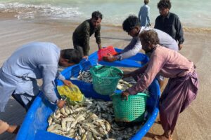 Pakistan will continue to export seafood to the United States resulting in a rise of value by 13.4 per cent