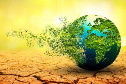 The world is collapsing, and we’re supposed to go to class