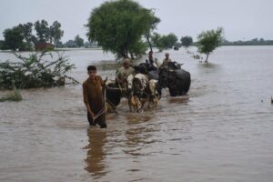 Update on the Flood situation in Pakistan as of 1st September,2025