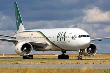 PIA is reported to be privatised by November