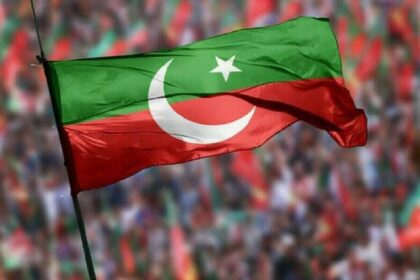 COG report on the 2024 General elections leaked