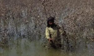 The World Bank has warned that Pakistan’s inflation could climb to 7.2%, citing the devastating impact of recent floods on agriculture and trade. The disaster has slowed economic recovery and deepened concerns over food and energy prices. Experts say the government will need targeted relief efforts to stabilise the situation and protect vulnerable communities.