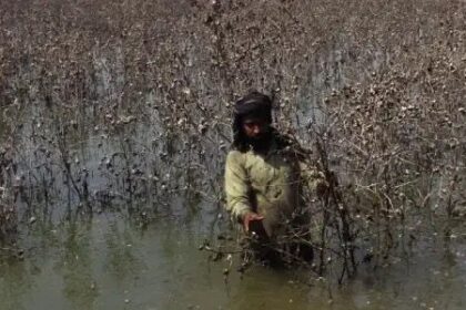 The World Bank has warned that Pakistan’s inflation could climb to 7.2%, citing the devastating impact of recent floods on agriculture and trade. The disaster has slowed economic recovery and deepened concerns over food and energy prices. Experts say the government will need targeted relief efforts to stabilise the situation and protect vulnerable communities.