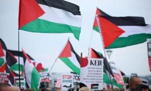 Diplomatic efforts intensified in Cairo as the US and Turkiye joined ongoing talks aimed at securing a ceasefire in Gaza. Meanwhile, a Gaza aid flotilla claimed Israeli forces attacked their convoy, intercepting several boats. The situation remains tense as negotiators push for humanitarian access and long-term peace.