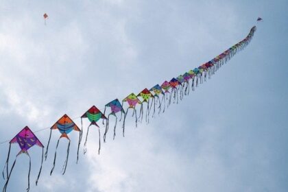As Punjab Government considers Basant Return, Kite String Kills Youth