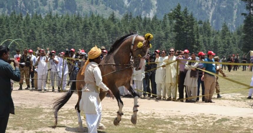 Summer Festival in Swat