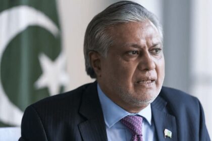 Peace in South Asia requires more than strategic stability: Dar
