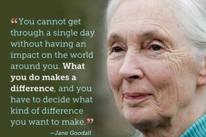 What you do makes a difference