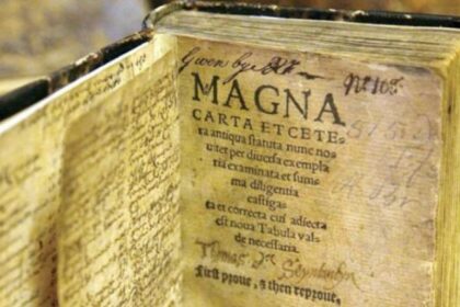 Roy N'est Lie Per Ascun Statute, Si Il Ne Soit Expressement Nosme